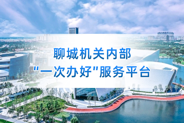 微宏AlphaFlow助力山東聊城數字機關建設